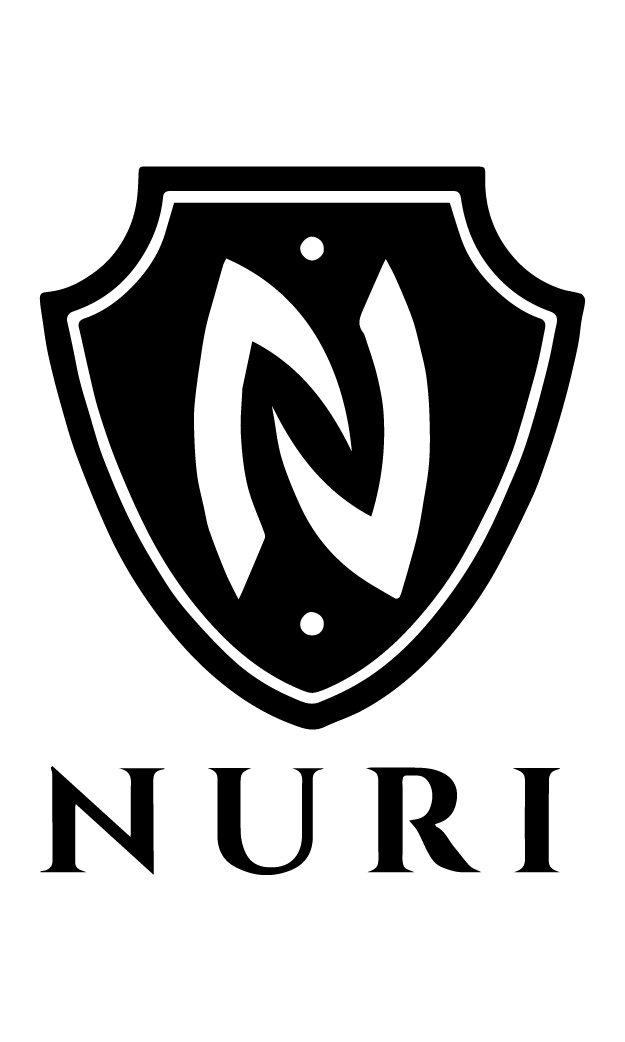 Logo Nuri Group GbR Zamir Nuri & Edris Sultani